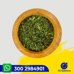 MORINGA